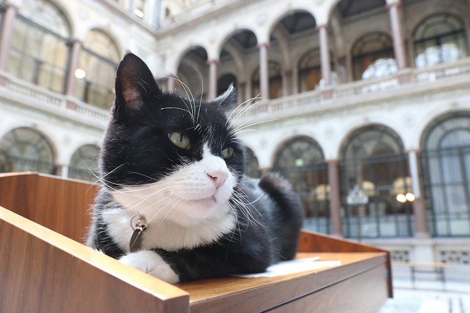 Foreign, Commonwealth & Development Office tweet media