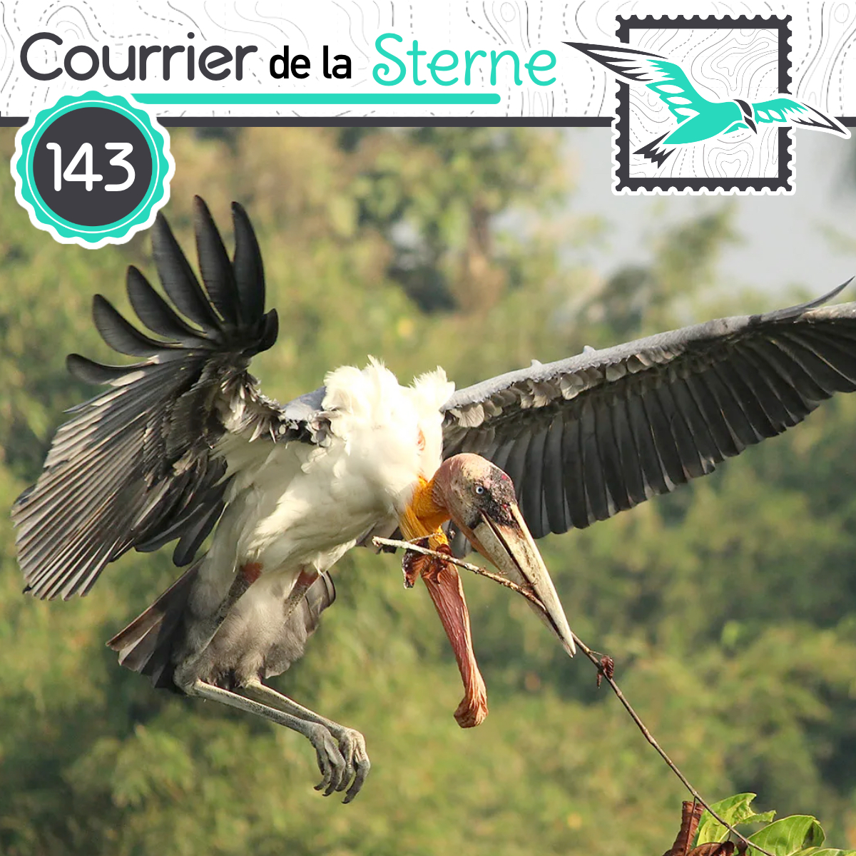 Le Courrier de la Sterne tweet media