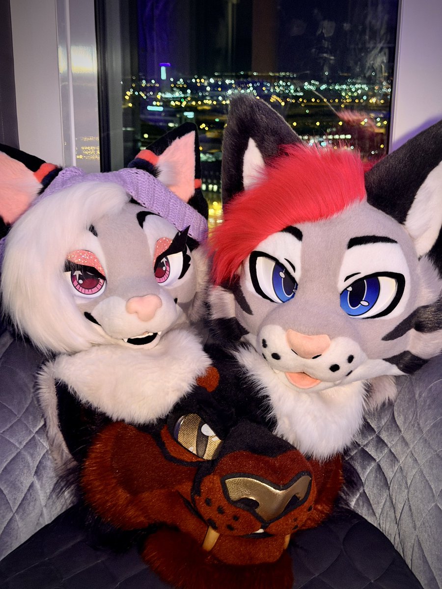 Soju cat ➔ CFZ, Awoostria tweet media