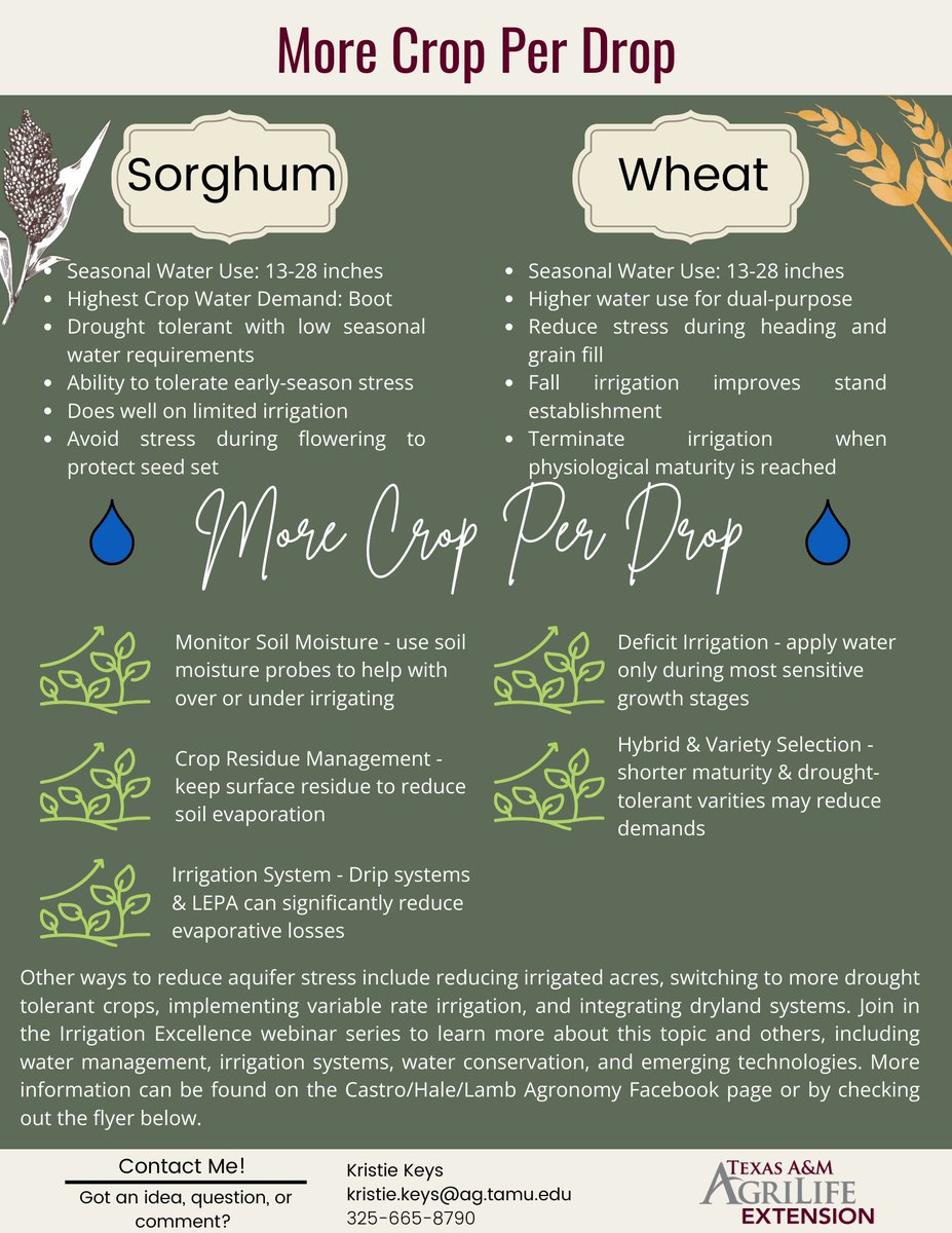 Kristie Keys tweet media