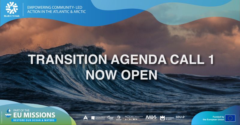 EU Atlantic Strategy tweet media