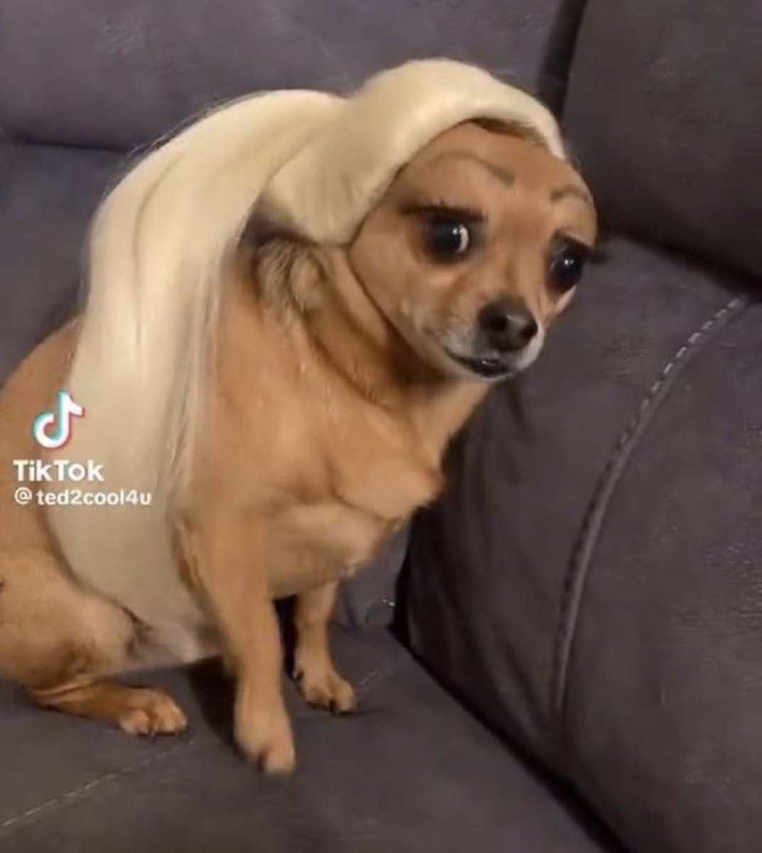 Señor bigotes tweet media