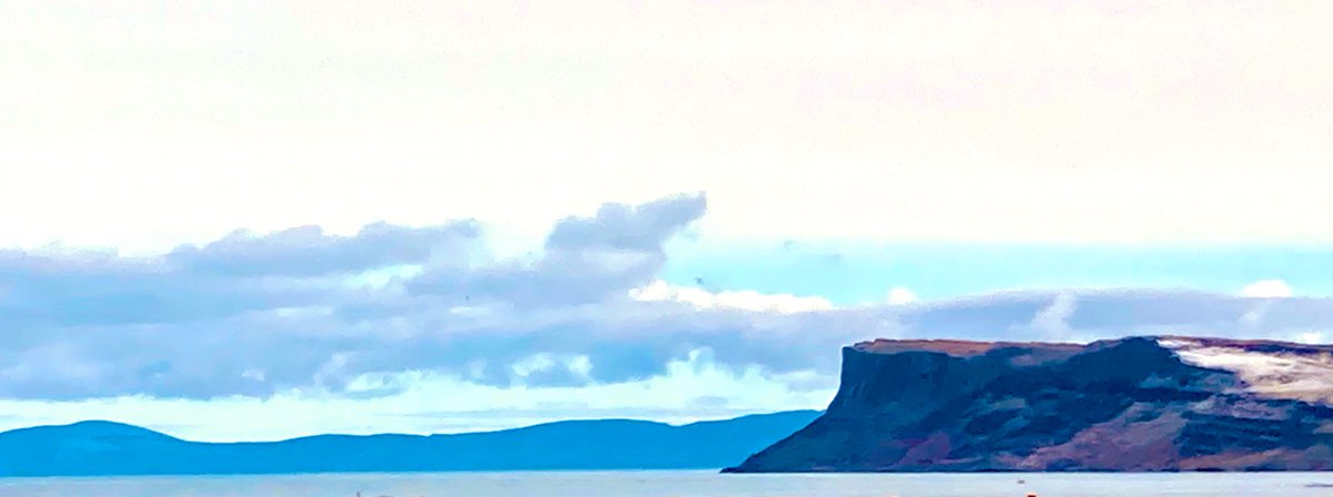 Professor Denis Harkin tweet media