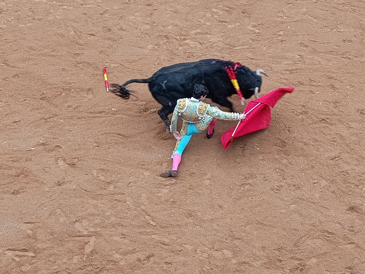 carnavaldeltoro's tweet photo. Novillada con picadores
Ganadería Hnos. Sánchez Herrero
Lleno en los #Tablaos
Tomas Bastos: oreja
Julio Méndez: oreja
Felix San Roman: palmas
Diego Mateos: palmas https://t.co/WjBac7eJRq