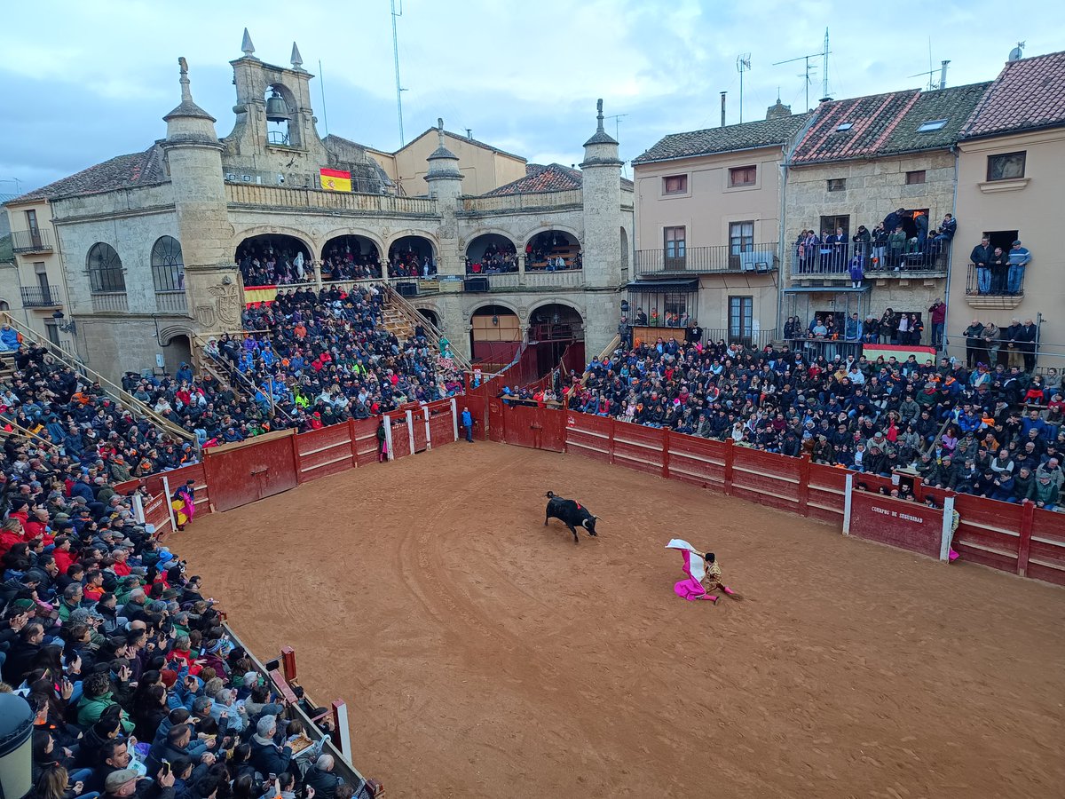carnavaldeltoro's tweet photo. Novillada con picadores
Ganadería Hnos. Sánchez Herrero
Lleno en los #Tablaos
Tomas Bastos: oreja
Julio Méndez: oreja
Felix San Roman: palmas
Diego Mateos: palmas https://t.co/WjBac7eJRq