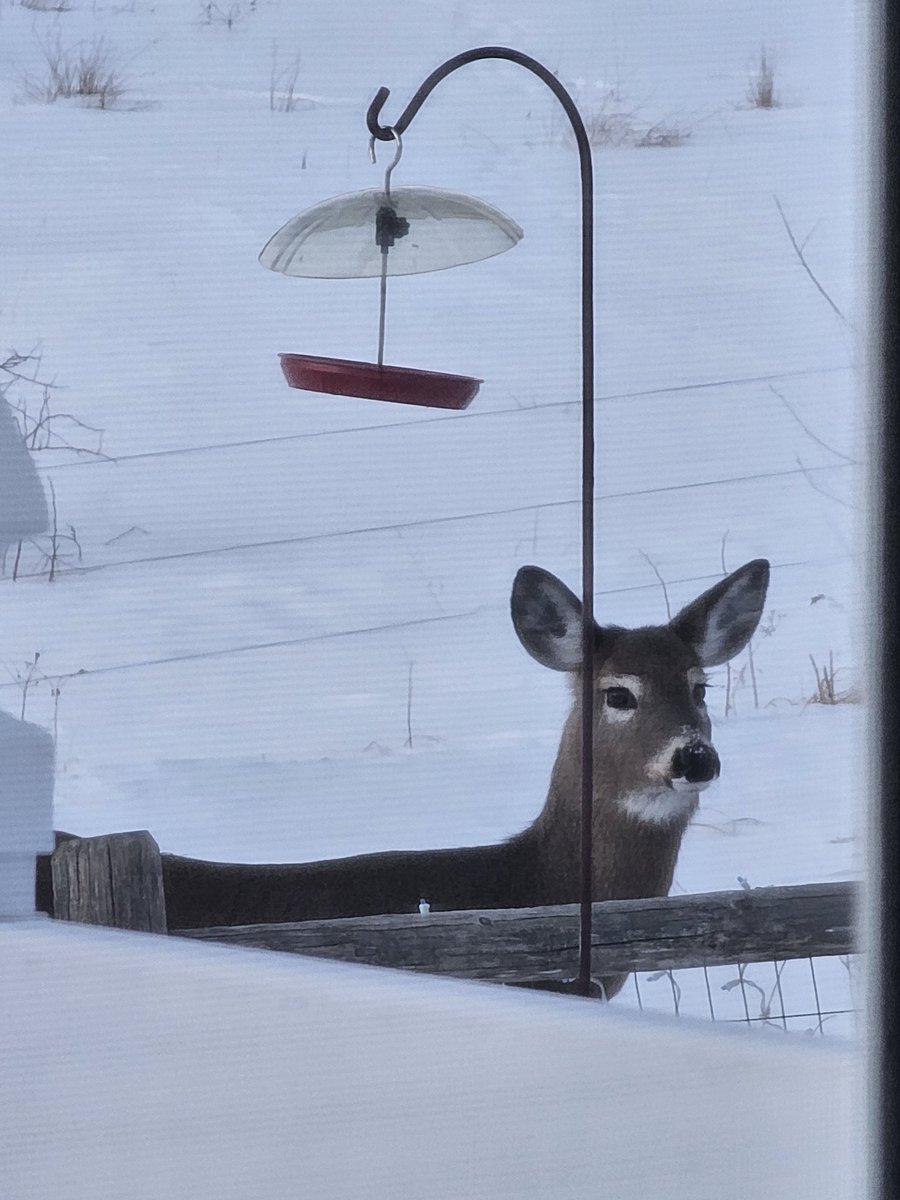 Lillian Lake - Host of #SoulNestingChat tweet media