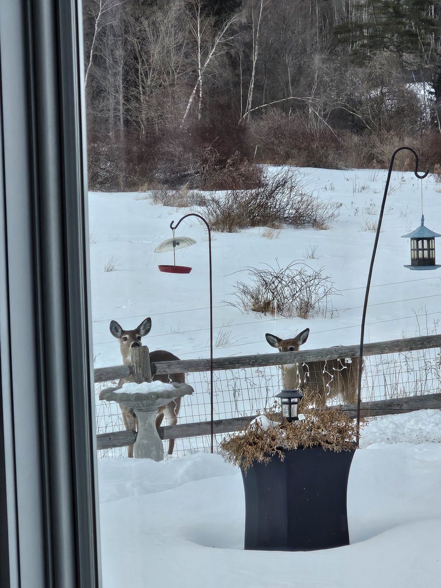 Lillian Lake - Host of #SoulNestingChat tweet media