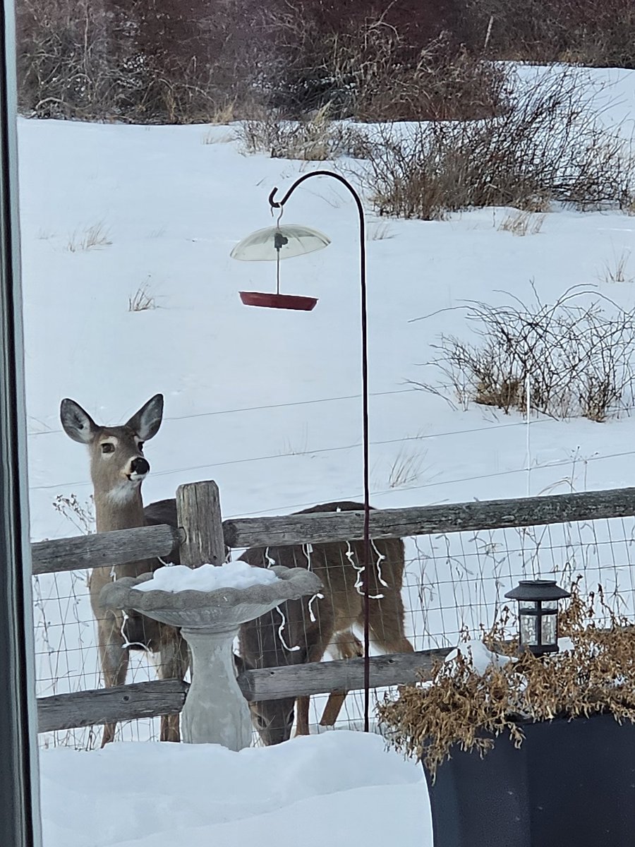 Lillian Lake - Host of #SoulNestingChat tweet media