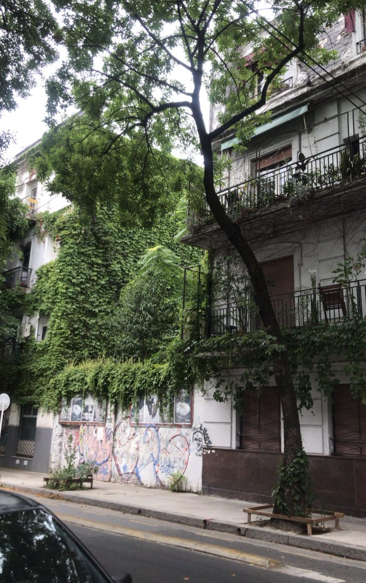 Cuando el verde escasea: conflicto por un terreno en Almagro

Mientras el barrio suma metros de cemento y arrastra un déficit histórico de espacios verdes, el Gobierno nacional avanza por segunda vez con la subasta de un terreno público en Almagro, que sería destinado a un