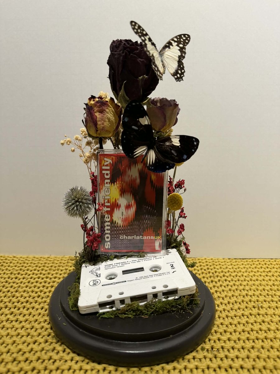 Katie palmer tweet media