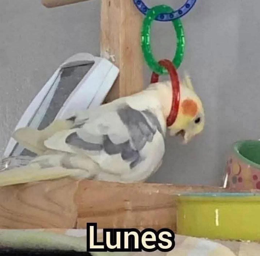 Nasty Poet (@nxstypxet) on Twitter photo 