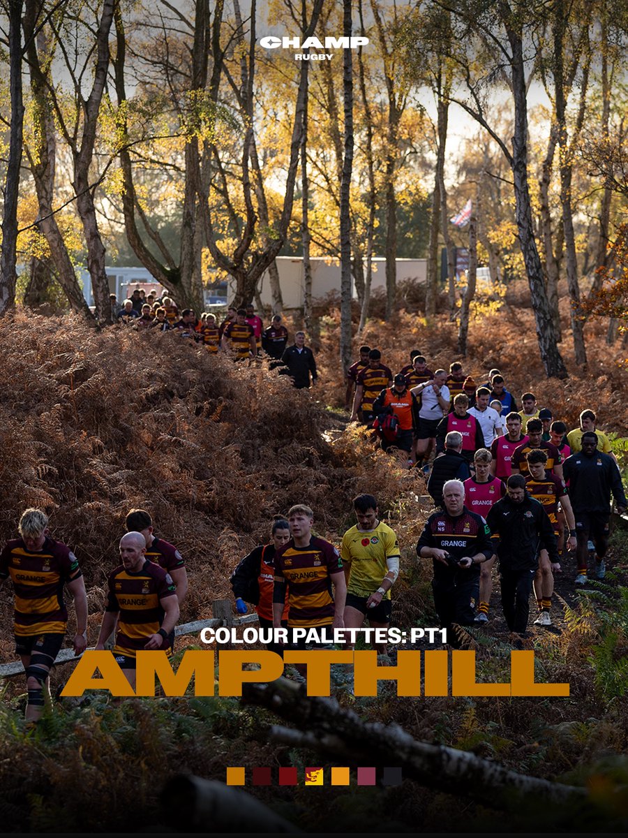 Elior Champ Rugby tweet media