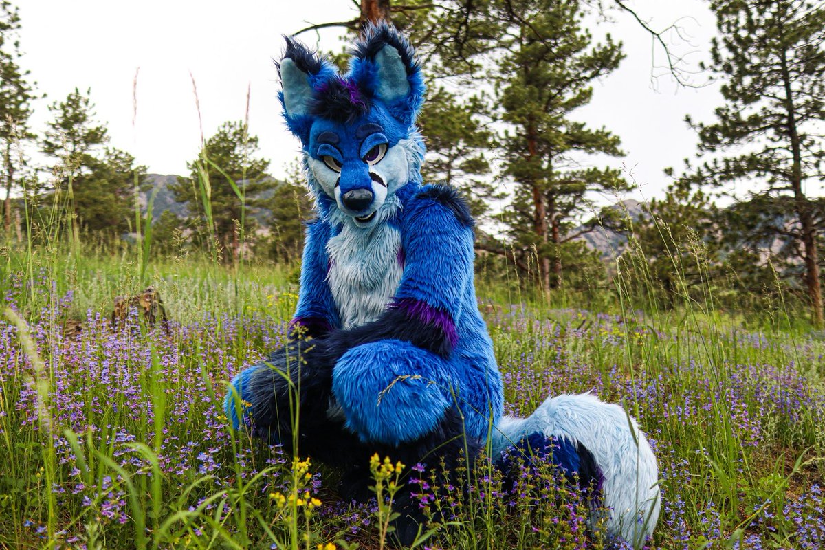 Etchy 🔜 FWA tweet media