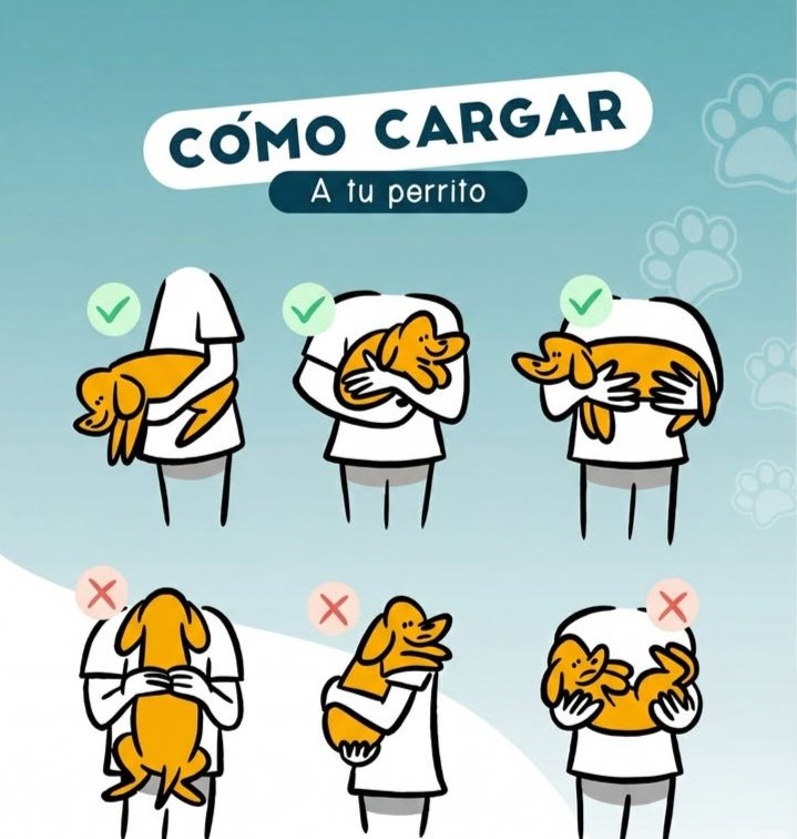 Recomendación de HUELLITAS sección de todos los martes de 7a8am en El Taximetro conectate por la Multiplataforma comunicacional.

YOUTUBE:
INSTAGRAM:
TIKTOK:
FACEBOOK:
TELEGRAM:
@eltaximetropodcast 

Y por la FM Network 99.5

YouTube:
somosnetwork99
Instagram:
<a href="/network/">Network</a>.vzla