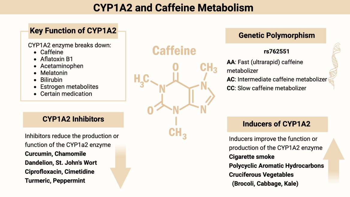 Patrick Sullivan Jr. tweet media