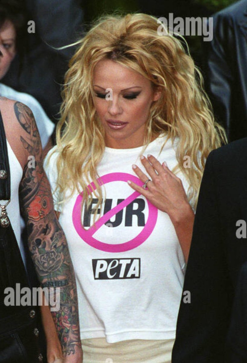 best of pamela anderson 🌻 (@bestofpam) on Twitter photo 