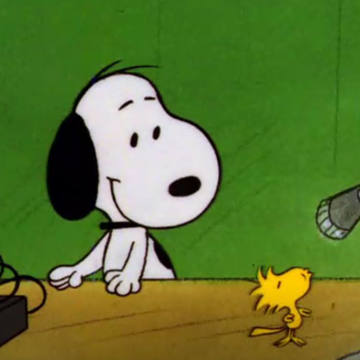 snoopy (@realsnoopys) on Twitter photo 