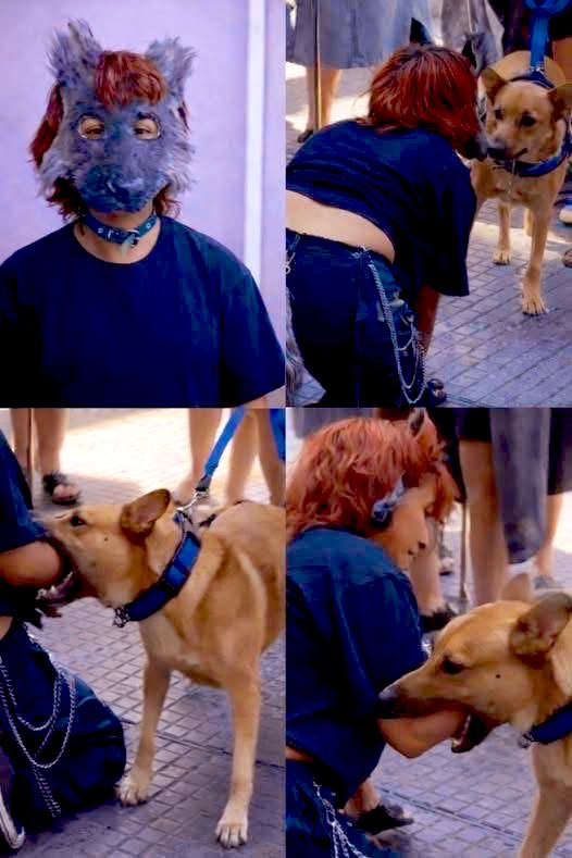 Alerta Noticias tweet media