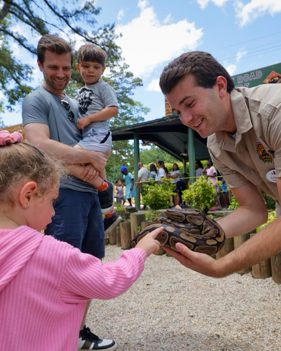 Six Flags Great Adventure tweet media