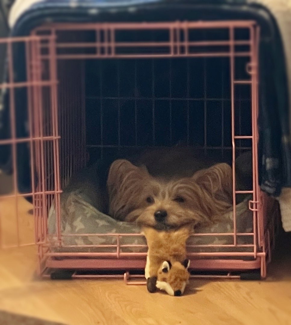 Christopher Allen Moore tweet media