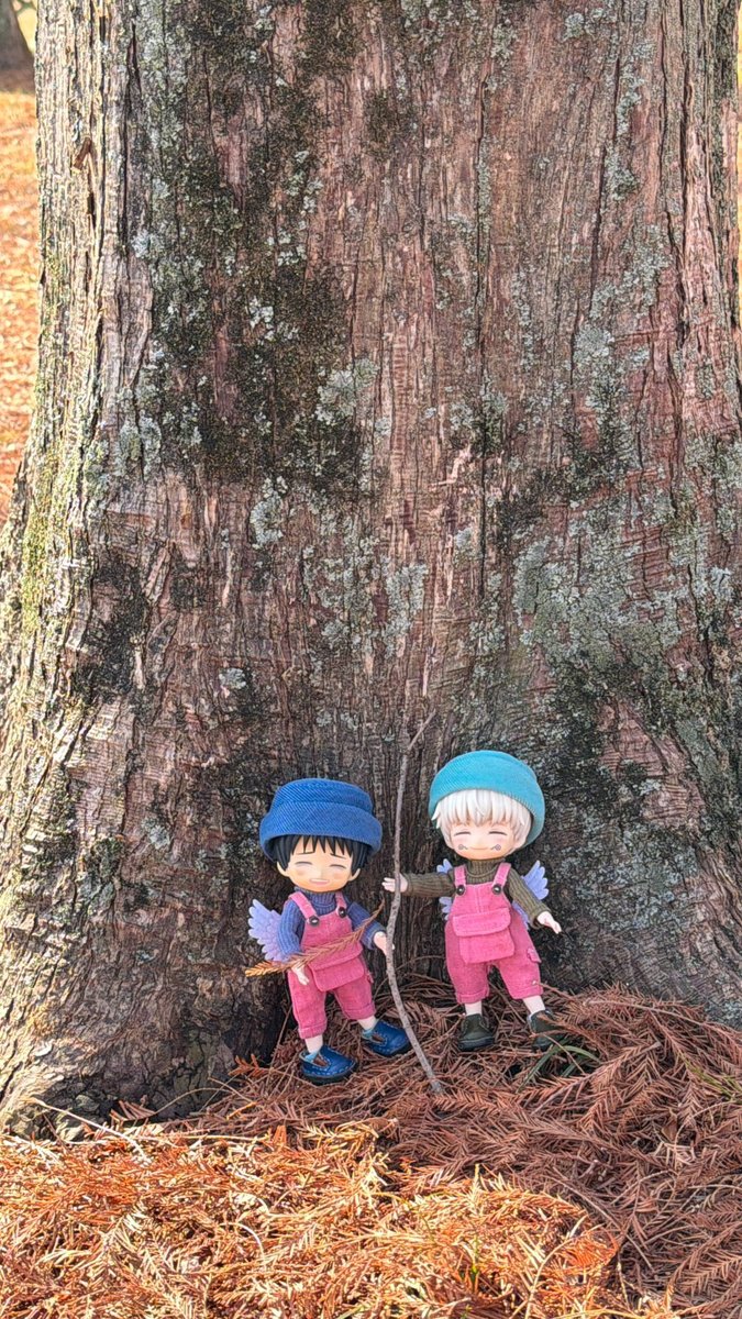 いい感じの棒🪵✨