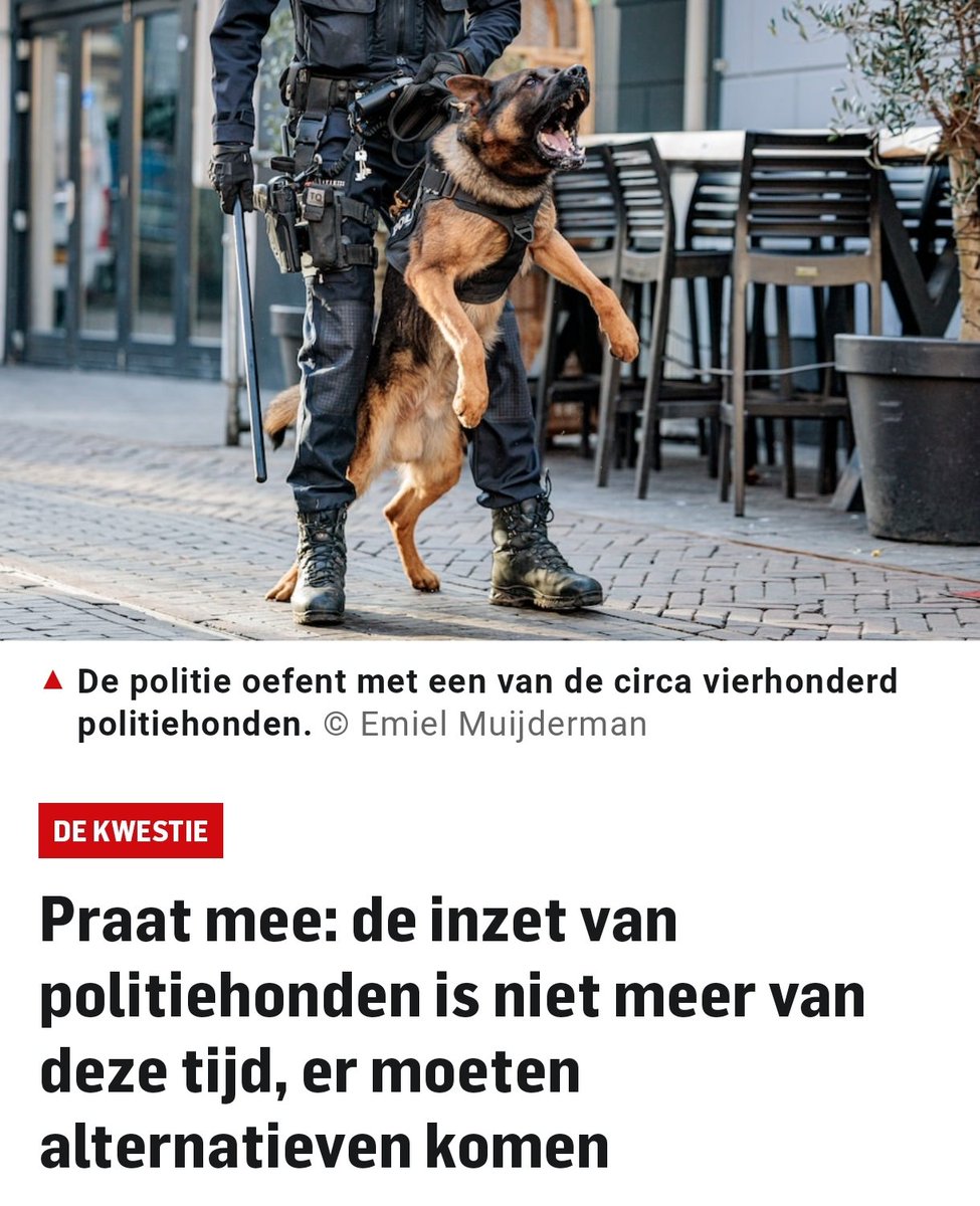 Maarten Brink tweet media