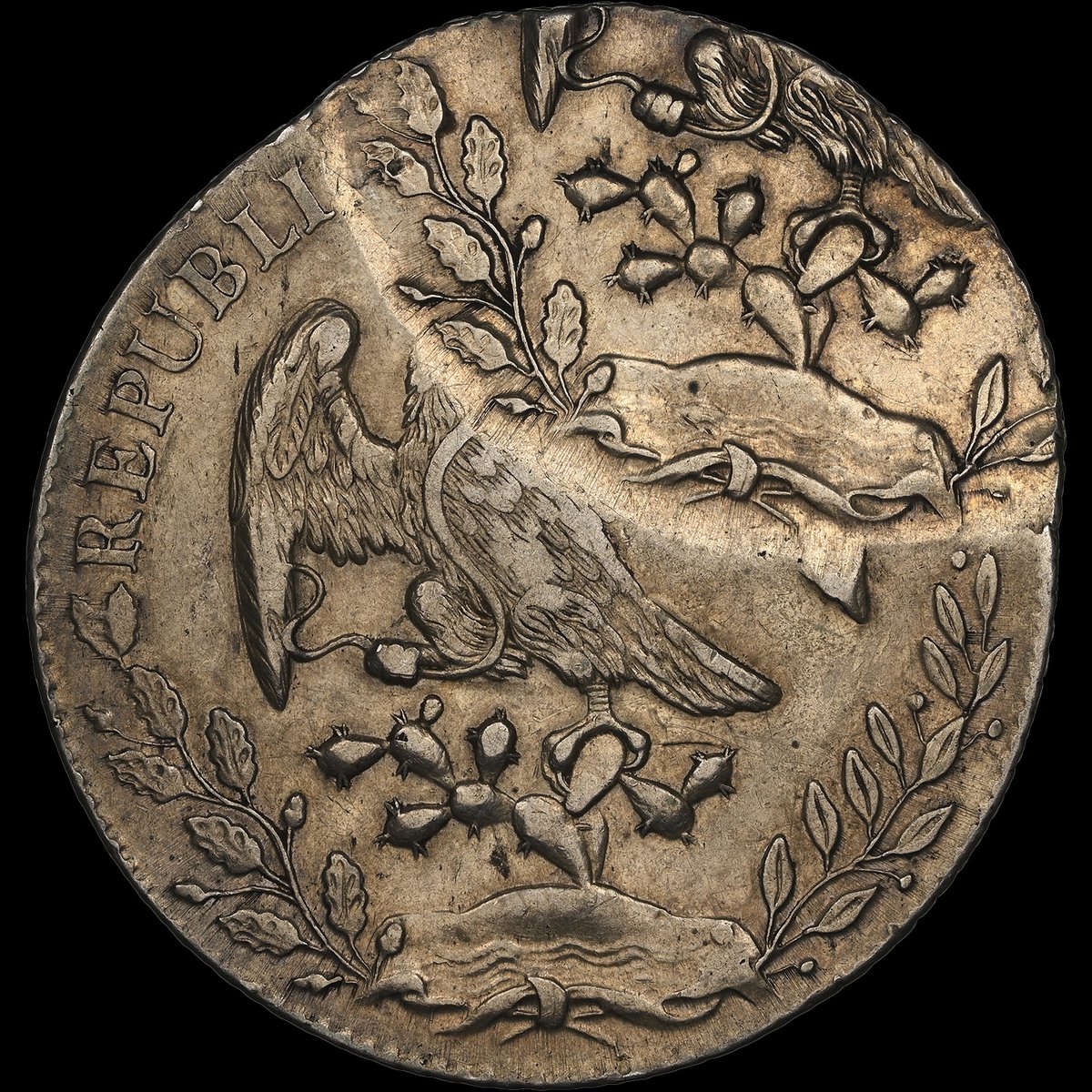 NGCcoin's tweet image. Coin of the Day: For #MintErrorMonday, here is a Mexico 8 Reales from the 1880s that was Double Struck, with the second strike off-center. It is being offered in a Heritage Auctions sale focused on Mexican coinage: tinyurl.com/3erhh7dy #coins #errorcoins #rarecoins #mexico