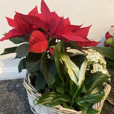 MrShayan11's tweet photo. #NewProfilePic https://t.co/YtFqWMsbrC