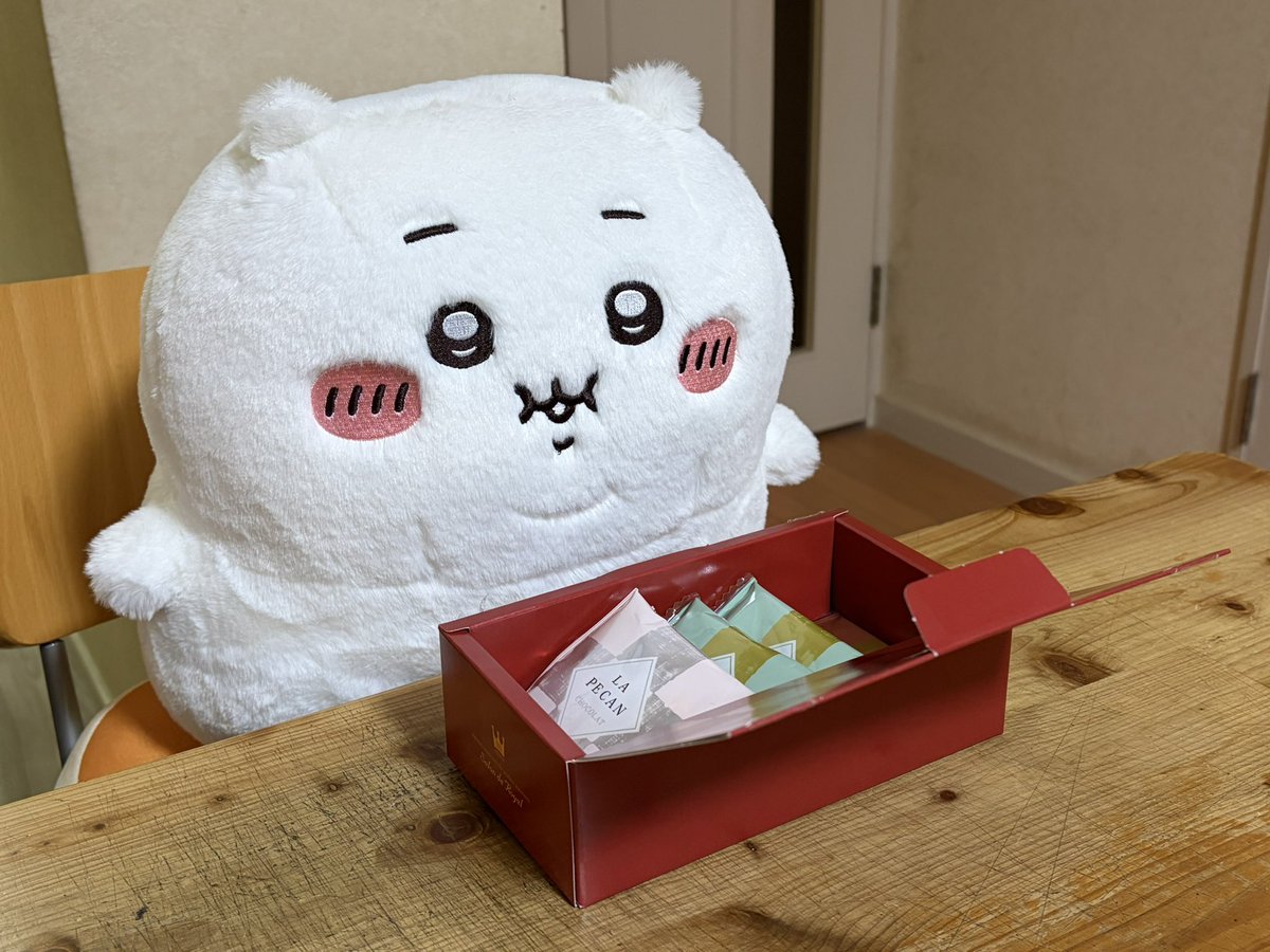 RT @zxvhjpcu: 結局めちゃくちゃ欲しくなってしまって連日大騒ぎして