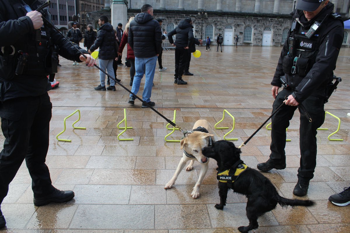 Birmingham City Council tweet media