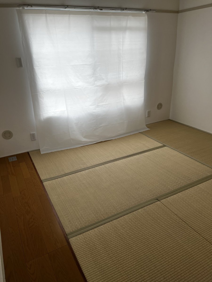 orwellbtc 🇯🇵 tweet media