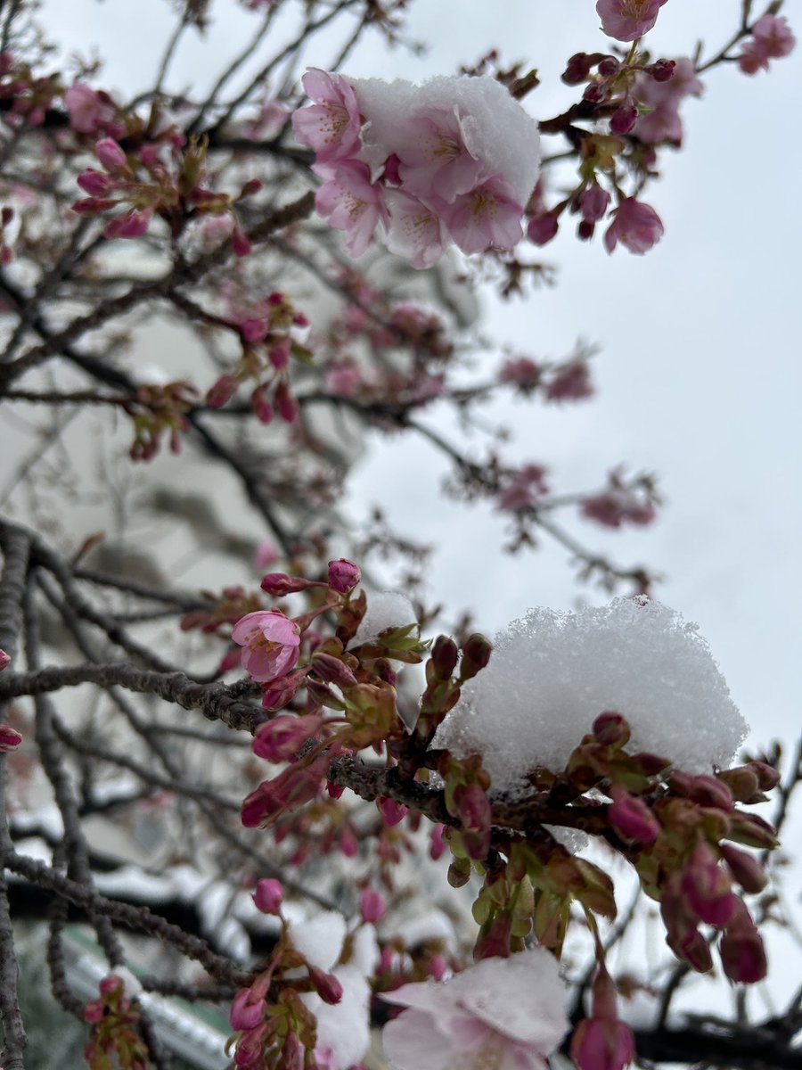 今年に入ってから曲も動画も作るのが楽し過ぎて睡眠が足りない！まるで一日中ギターを触ってた中学生の夏休みのようながむしゃらさ。制作、創造なんて高尚なものじゃなく、ただただ作るのが楽しい！帰ってこれた。うれしい。