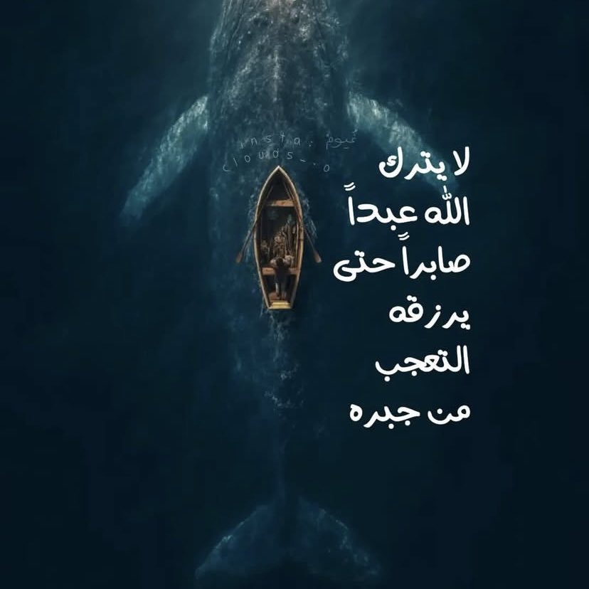 نرجس 🌼 tweet media