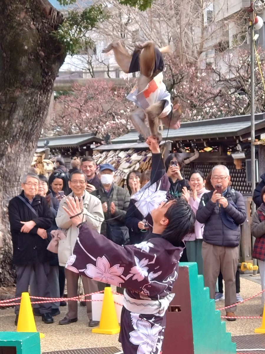 yoidore023's tweet image. 今日は梅が良い感じでした。