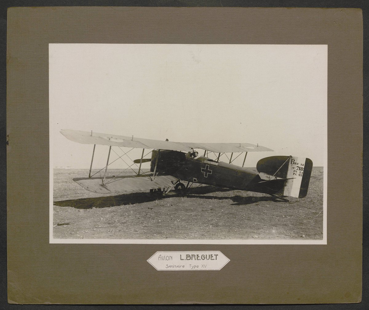 Mémoire des hommes tweet media