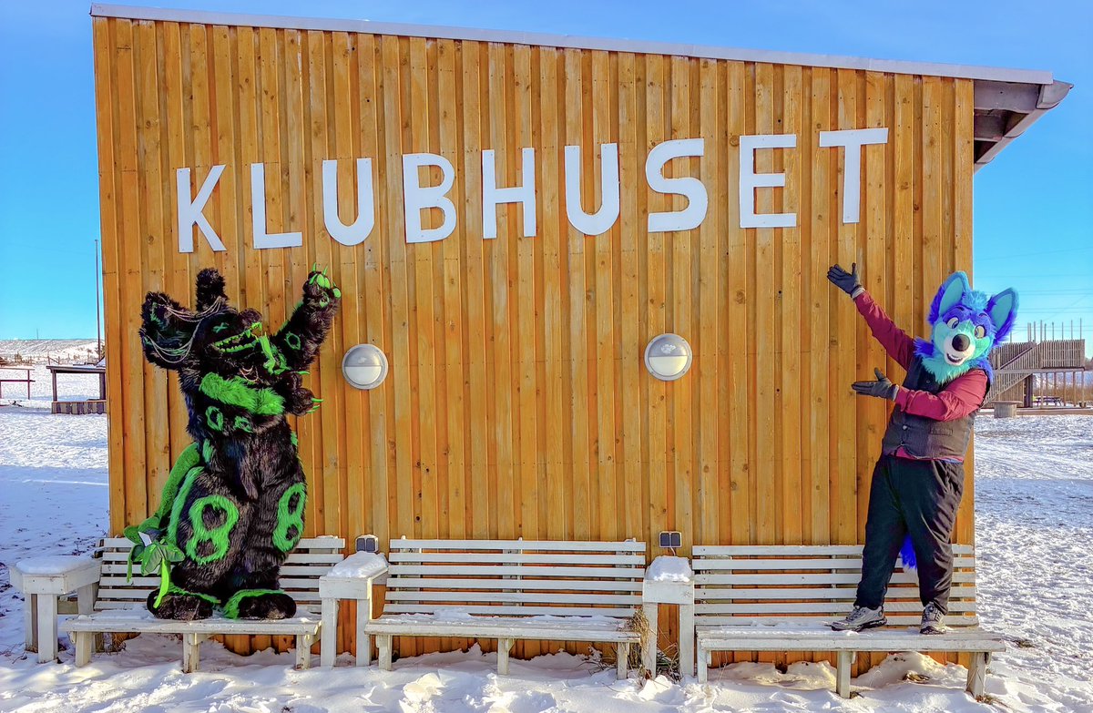 Terry_Husky tweet media