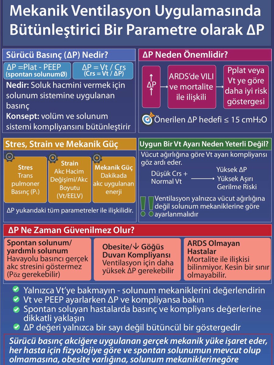Dr. Yalım Dikmen tweet media