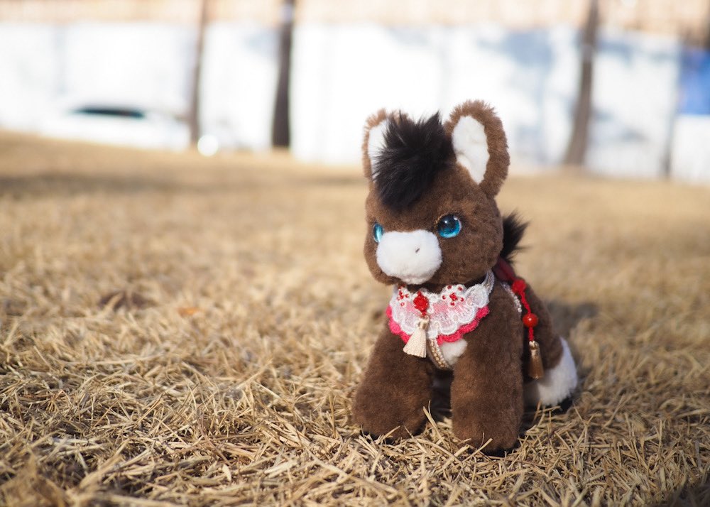 싸샤베어 tweet media