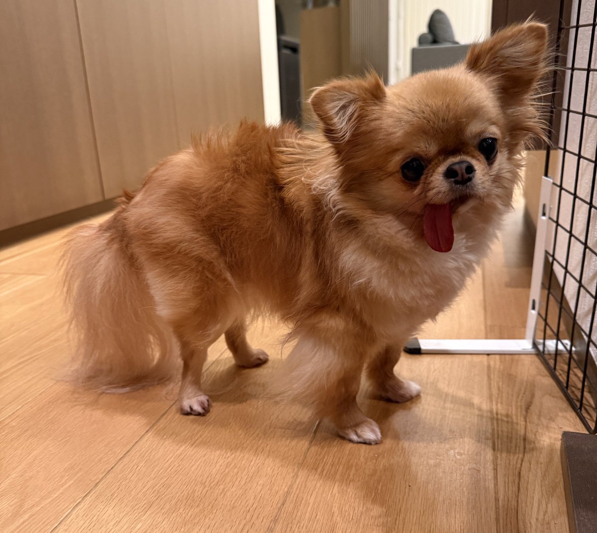 疲れが溜まって辛いので早めの就寝です。
おやすみなさい💤