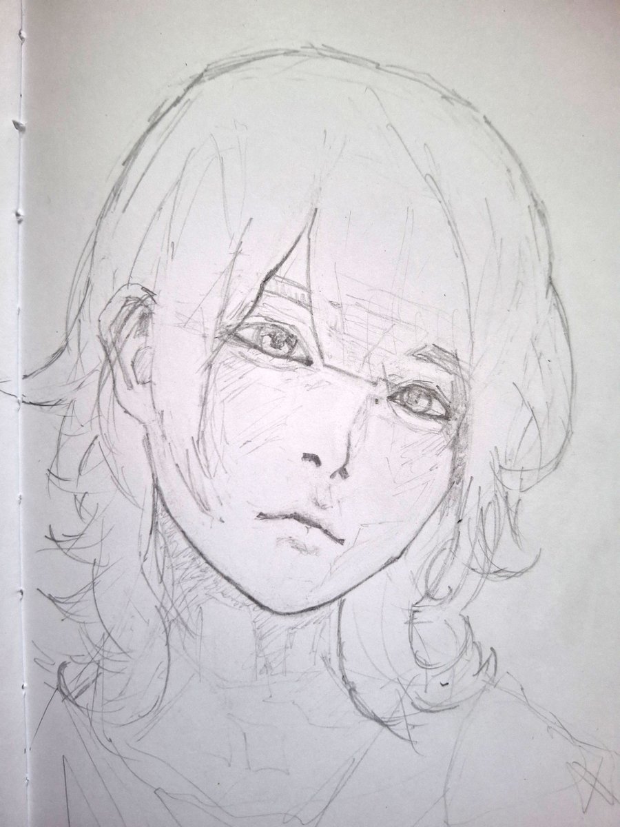 twilight_bebra tweet media