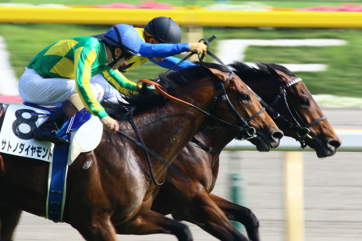 もう10年前の写真か がんばって撮ってたな #日本ダービー #サトノ