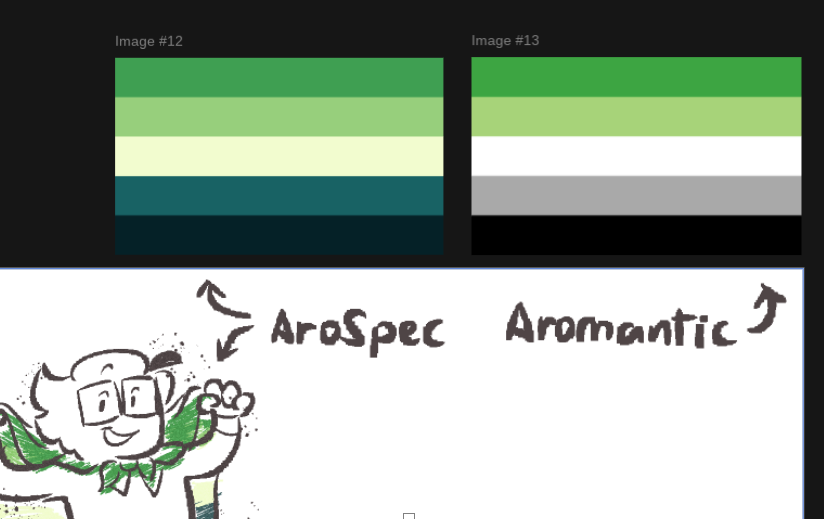 @KadenzJade that's the Aromantic Spectrum/Umbrella flag! The flag that ...