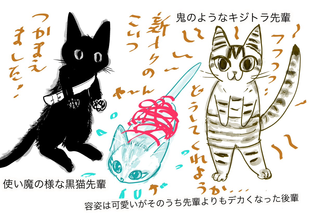 凄いもの作ろうとするとプレッシャーに押しつぶされそうだ‥‥

取り敢えず‥新刊出すぞ🐈‍⬛🐈‼️
‥‥‥‥‥
#カル鍋参加表明
#同人交差点2026
また、なんかとんでもない事を‥‥