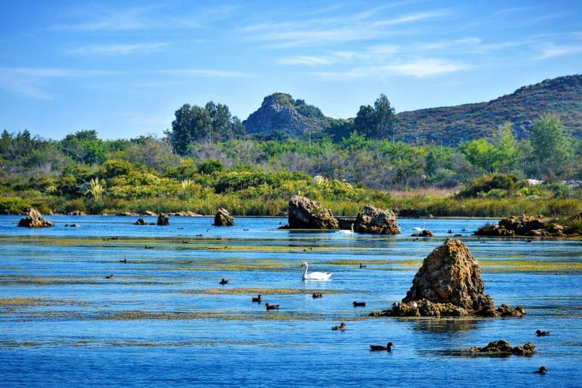 Un santuario de agua y silencio en #Cantabria.

El Parque Natural de las #MarismasdeSantoña, Victoria y Joyel es uno de los humedales más valiosos del norte peninsular y escala clave para miles de aves migratorias cada año. 🦢🌊

📷 Flickr/Eduardo Arostegui

#AvesMigratorias