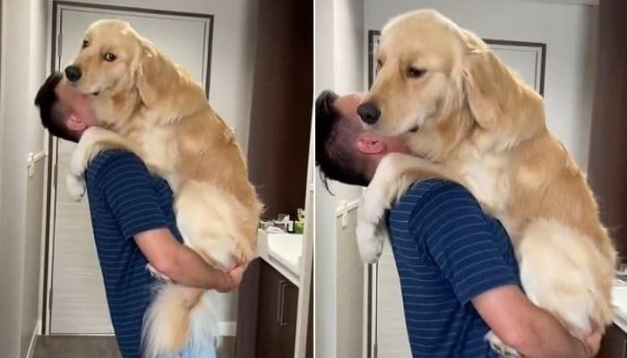 ㅋㅋㅋ몸을 얼마나 구겨넣는 거예요ㅋㅋㅋㅋㅋㅋ아직도 자기가 아기인 줄 아는 대형견 같음ㅋㅋㅋㅋㅋ