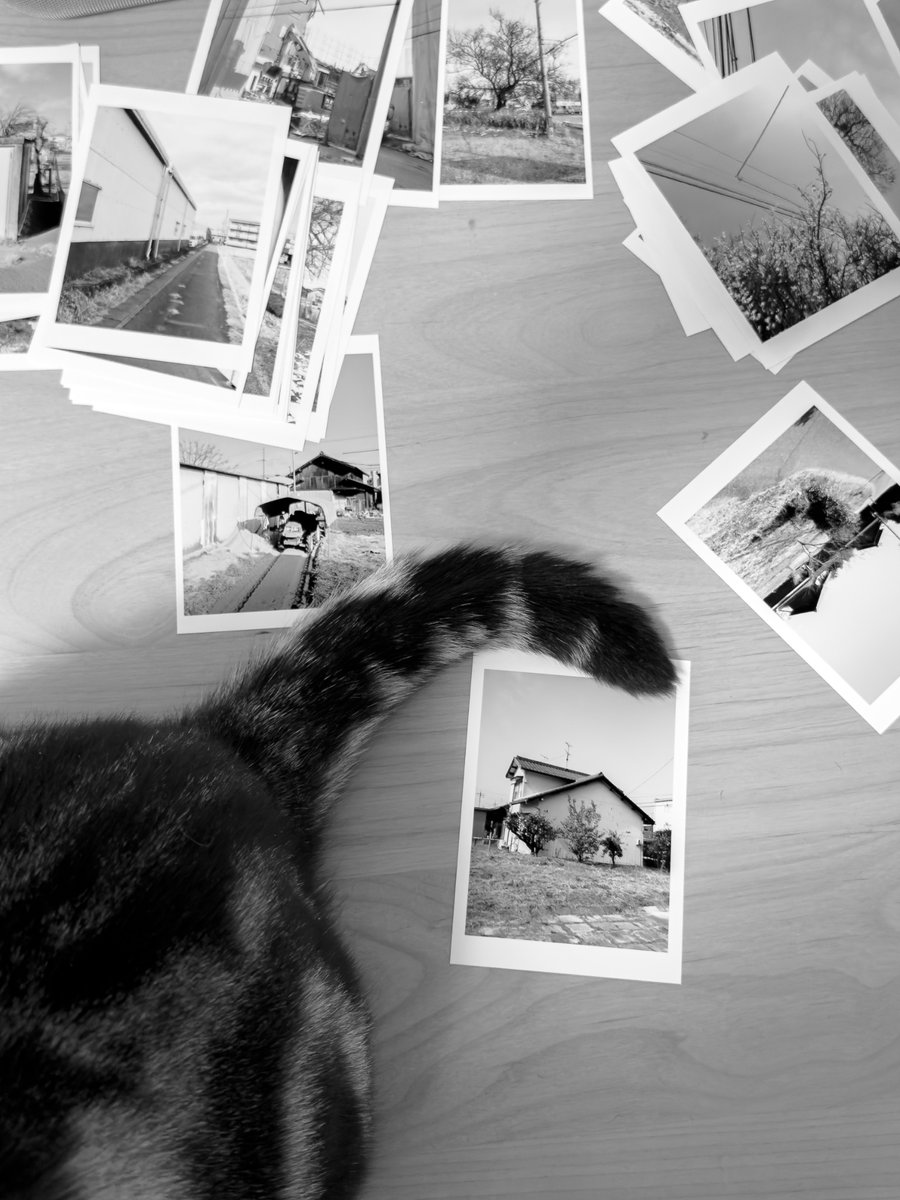 制作途中。
少しずつ形になってきた。