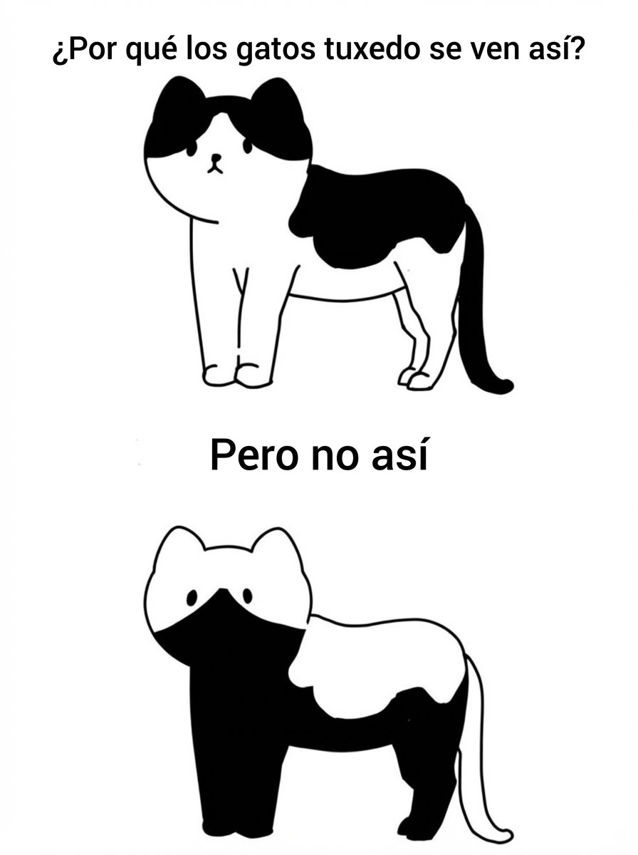 Esos gatos locos tweet media