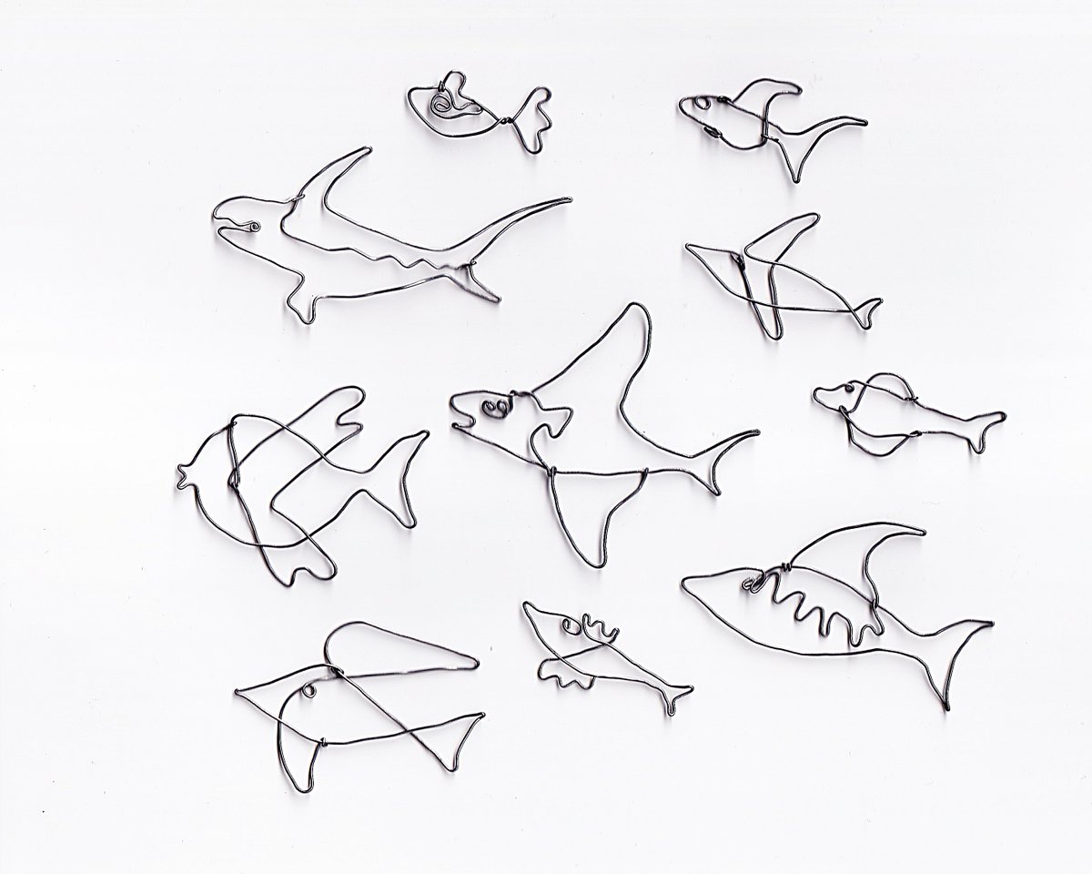 yonner47's tweet image. banco di pesci

#ワイヤー #wire