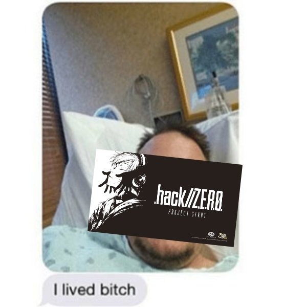 small_superior's tweet image. I USED TO PRAY FOR DAYS LIKE THESE #hackZERO #dothack #ドットハック