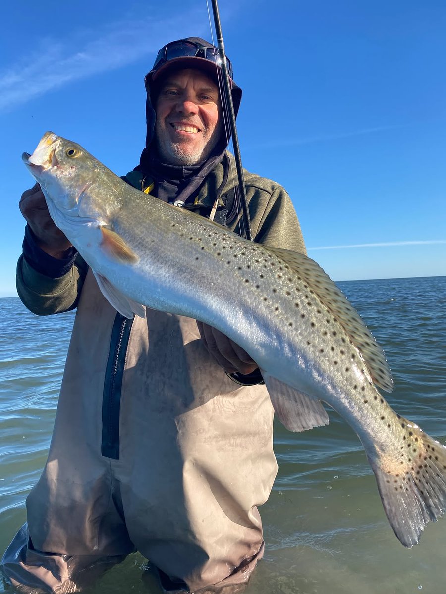 Fishing Niche tweet media